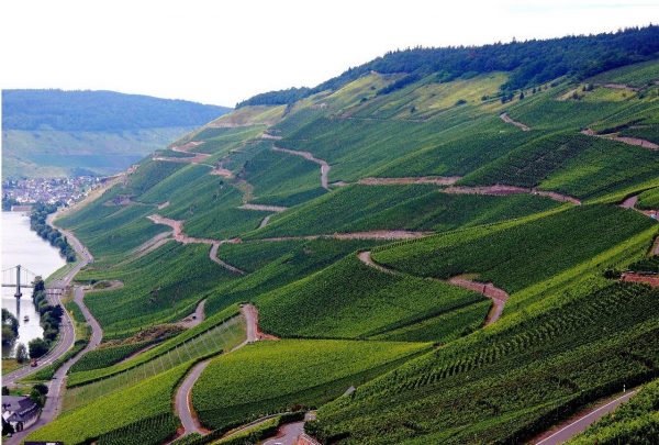 Виноградники долины Мозель в Германии